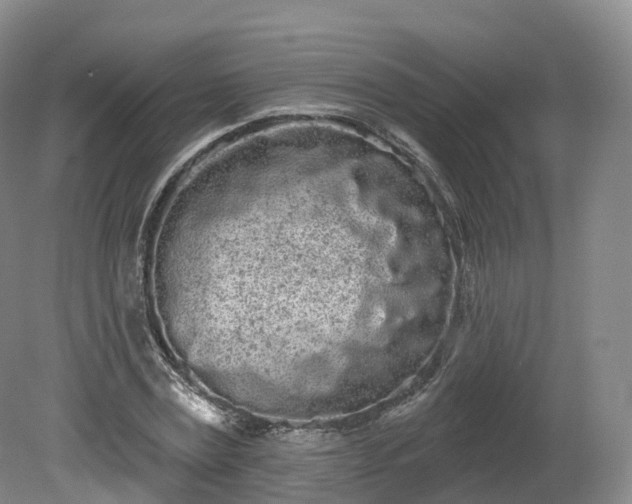 X0000080670779200612221116