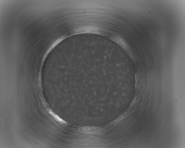 X0000080670780200612221116