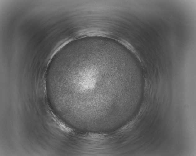 X0000080670782200612221116