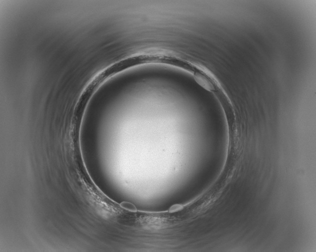 X0000080670783200612221116