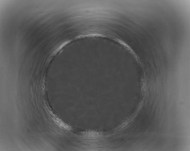 X0000080670785200612221115