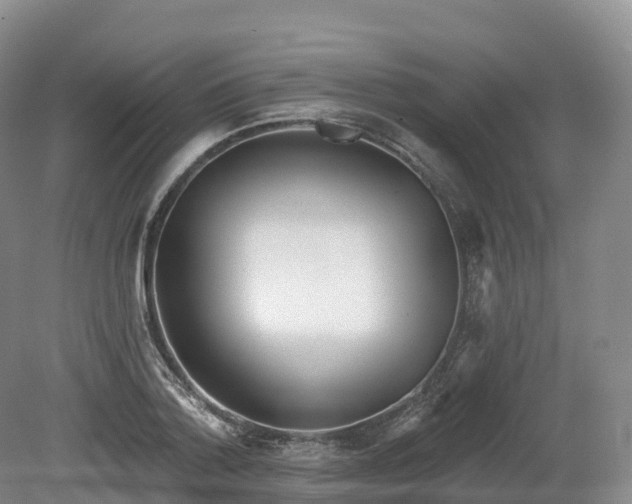 X0000080670788200612221115