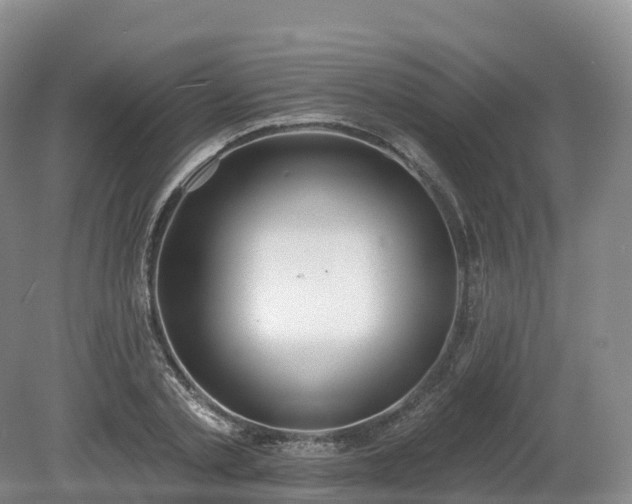 X0000080670789200612221115