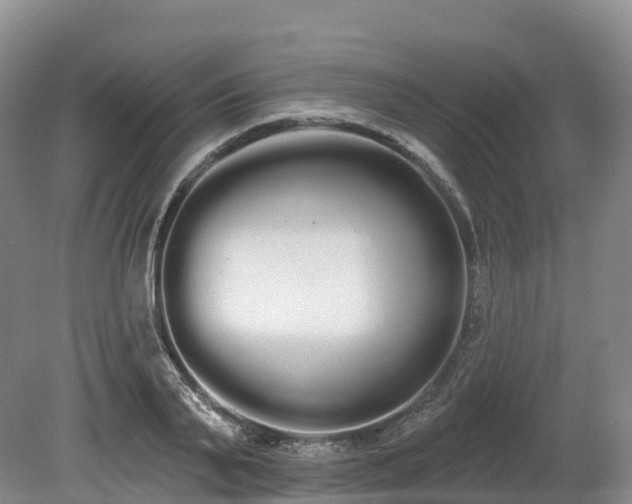 X0000080670791200612221115