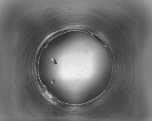 X0000080670792200612221115