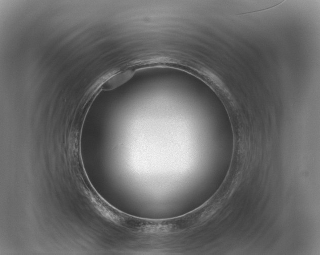 X0000080670793200612221115