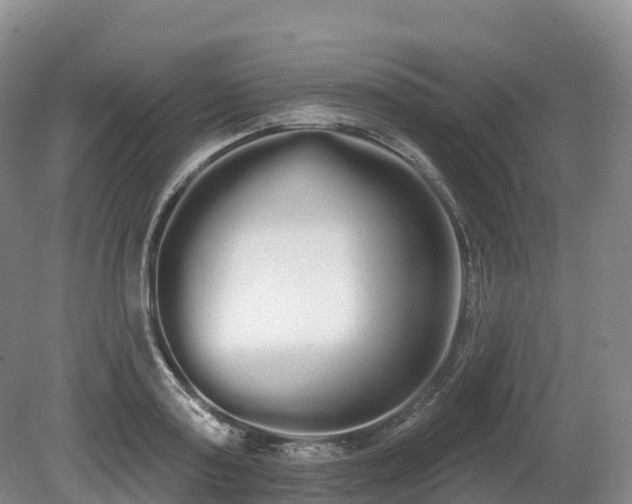 X0000080670795200612221115