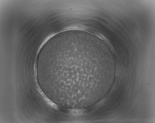 X0000080670796200612221115