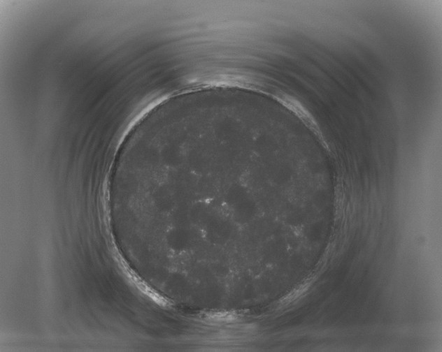 X0000080670798200612221115