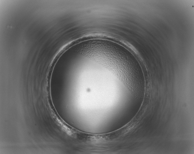 X0000080670799200612221115