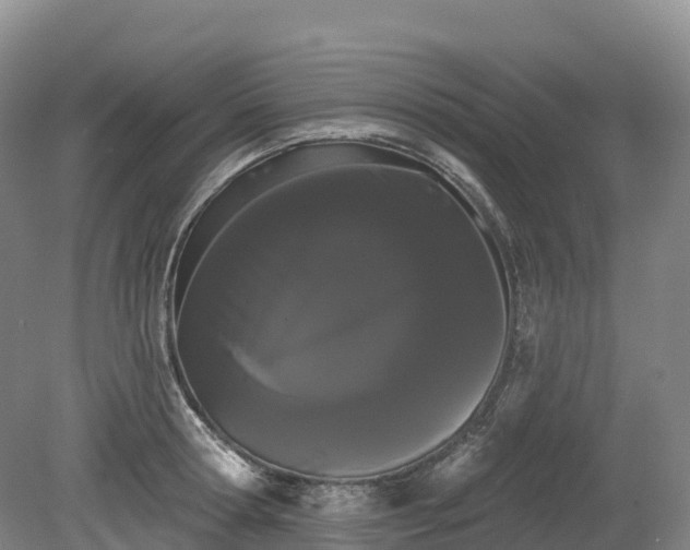 X0000080670802200612221115