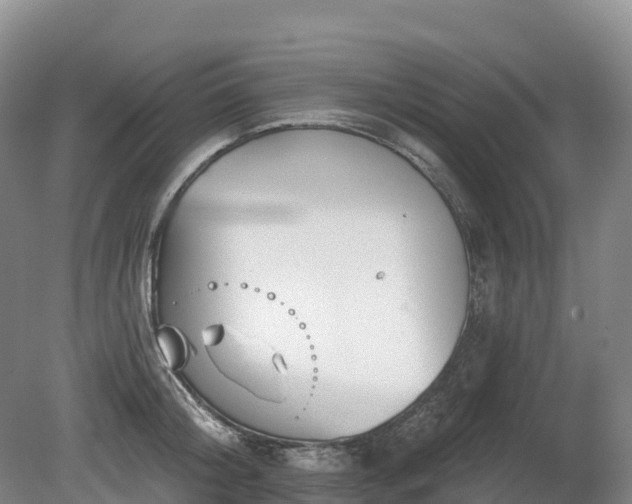 X0000080670804200612221115