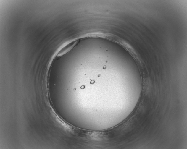 X0000080670808200612221115