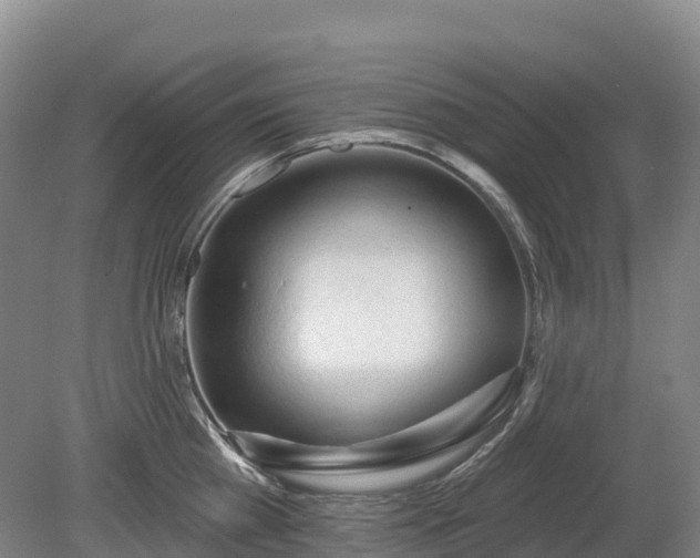 X0000080670809200612221115