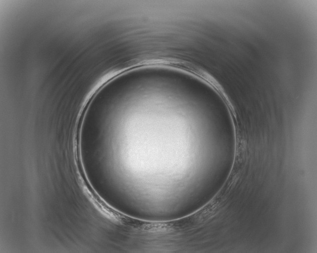 X0000080670811200612221115