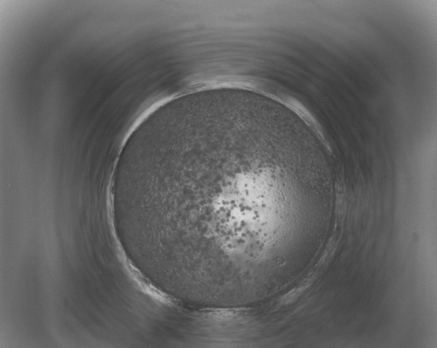 X0000080670814200612221115