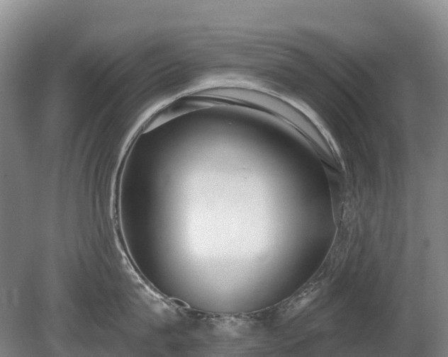 X0000080670815200612221115