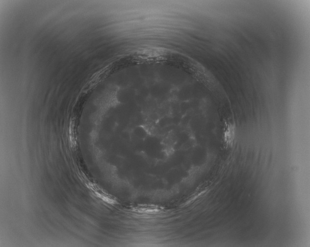 X0000080670819200612221114