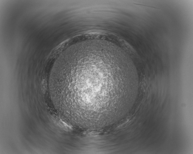 X0000080670821200612221114