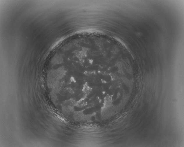 X0000080670823200612221114