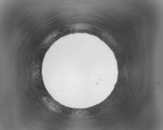 X0000080670824200612221114