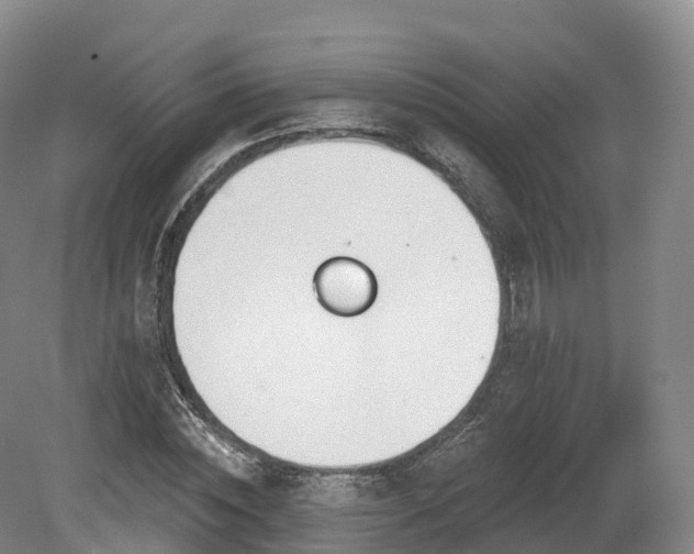 X0000080670828200612221114