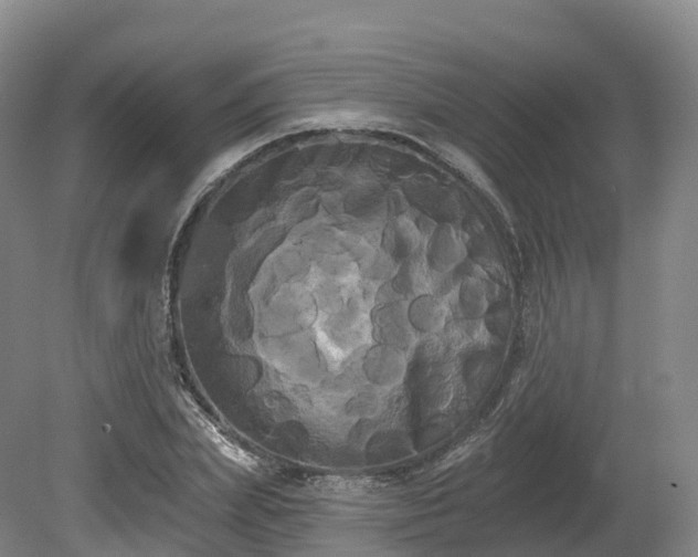 X0000080670831200612221114