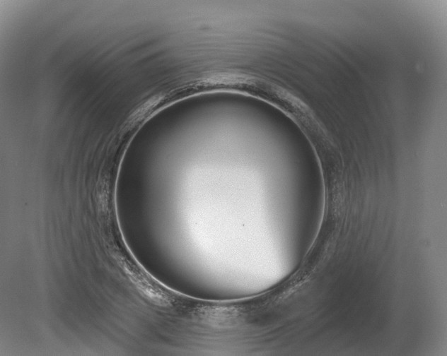 X0000080670833200612221114