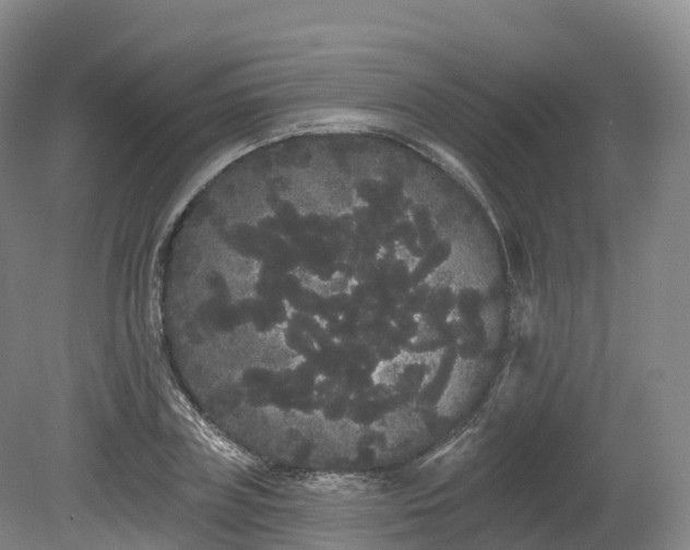 X0000080670835200612221114