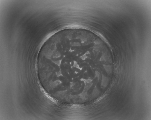 X0000080670839200612221115