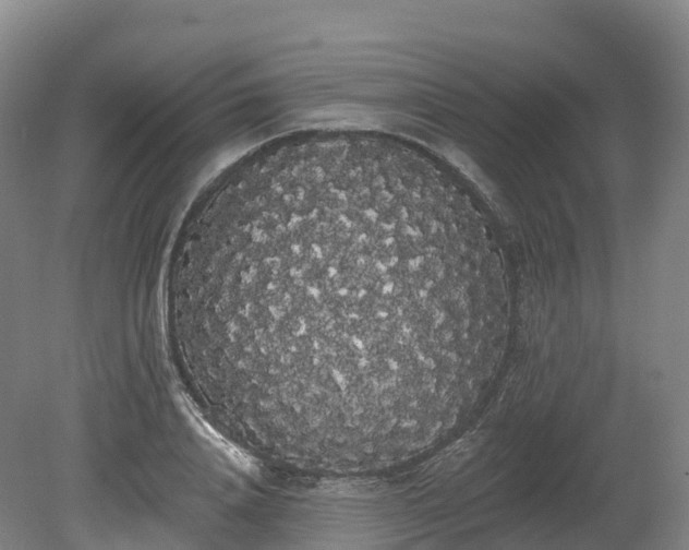 X0000080670840200612221115