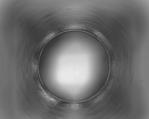 X0000080670841200612221115