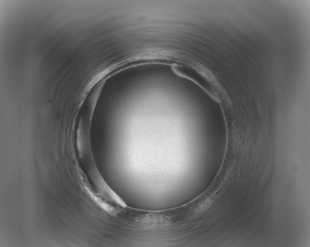 X0000080670842200612221115