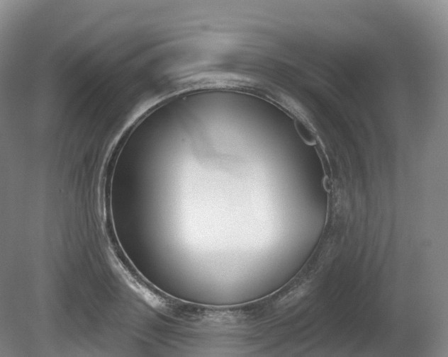 X0000080670843200612221115