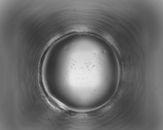 X0000080670845200612221115