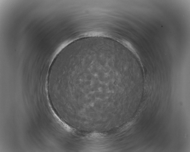 X0000080670847200612221115