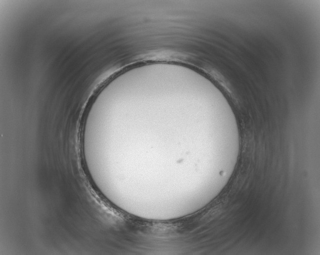 X0000080670848200612221115