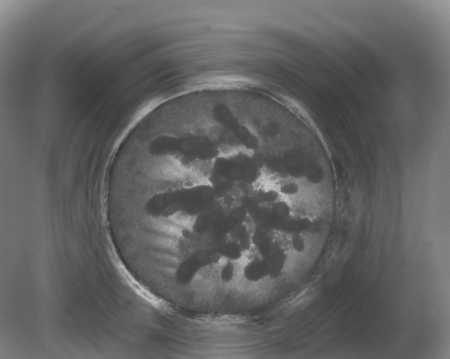 X0000080670851200612221115