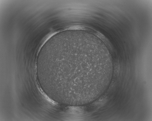 X0000080670852200612221115