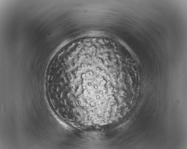 X0000080670853200612221115