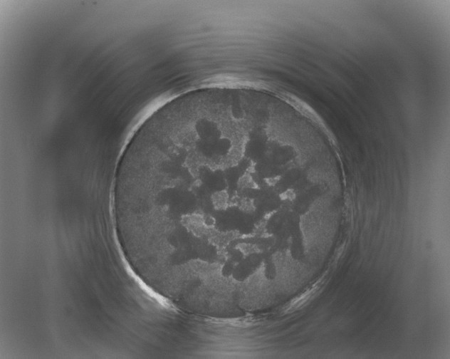 X0000080670855200612221115