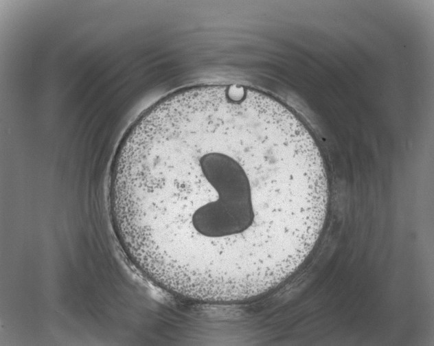 X0000080670856200612221115