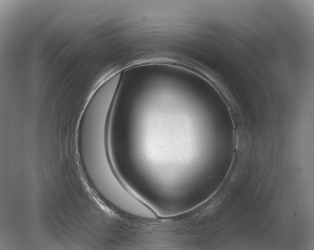 X0000080670858200612221115