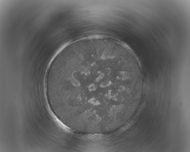 X0000080670859200612221115