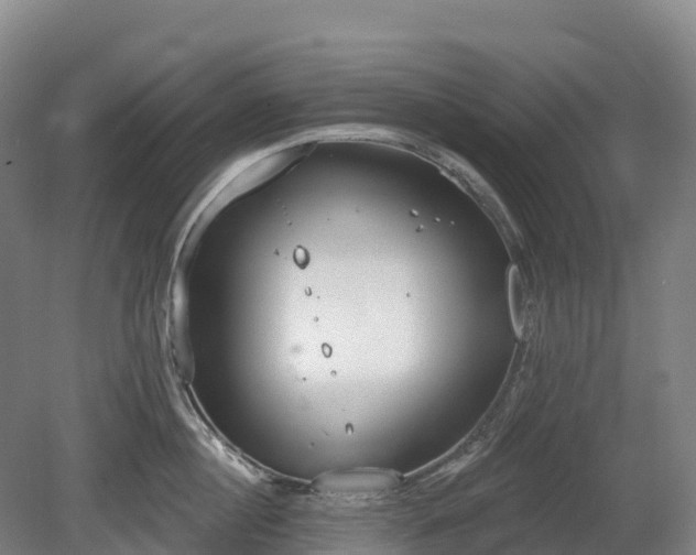 X0000080670860200612221115