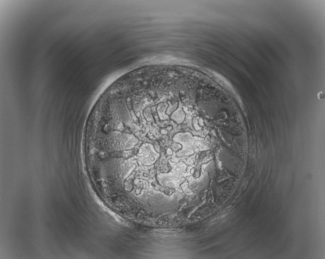 X0000080670863200612221115