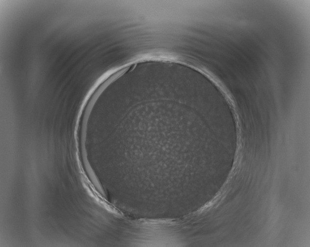 X0000080670864200612221115