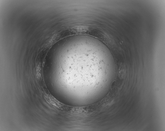 X0000080670866200612221114