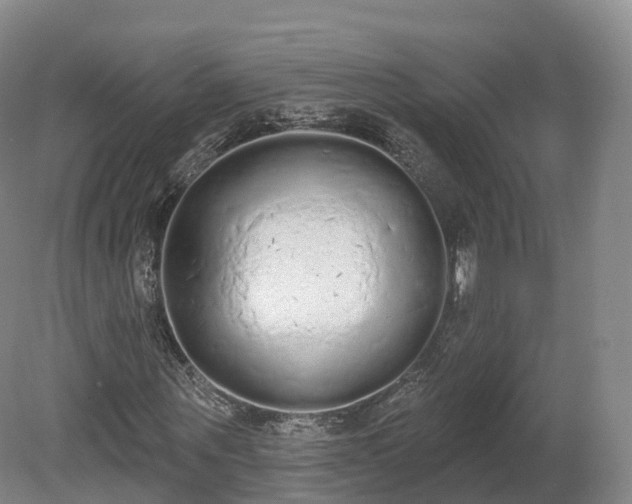 X0000080670867200612221114