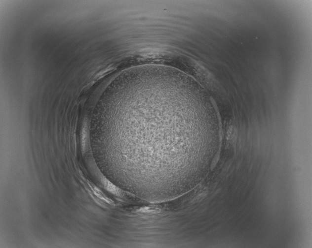 X0000080670868200612221114